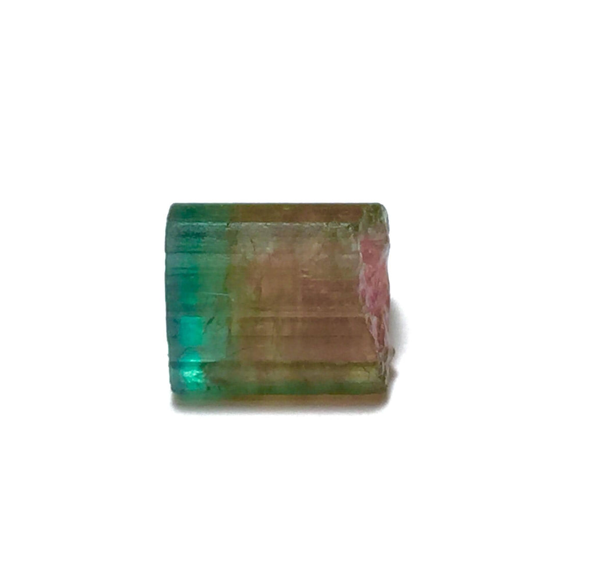 13.2 Carat Bi-Color Watermelon Tourmaline Crystal - Natural Specimen from Peche Mine