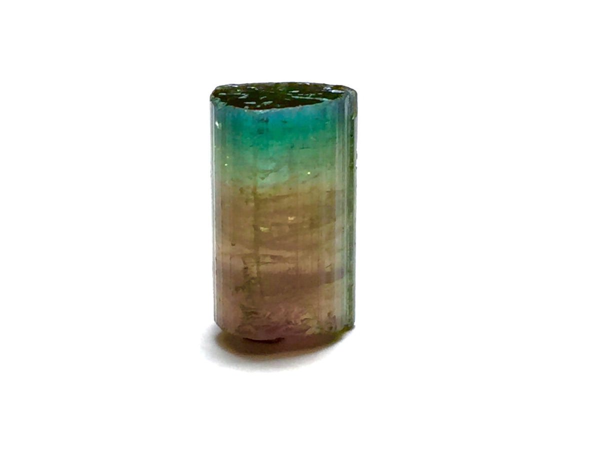 10.4 Carat Tri-Color Watermelon Tourmaline Crystal | Peche Mine Afghanistan Natural Bi-Color Mineral Specimen