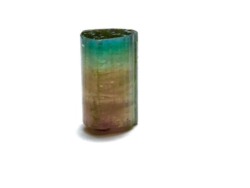 10.4 Carat Tri-Color Watermelon Tourmaline Crystal | Peche Mine Afghanistan Natural Bi-Color Mineral Specimen