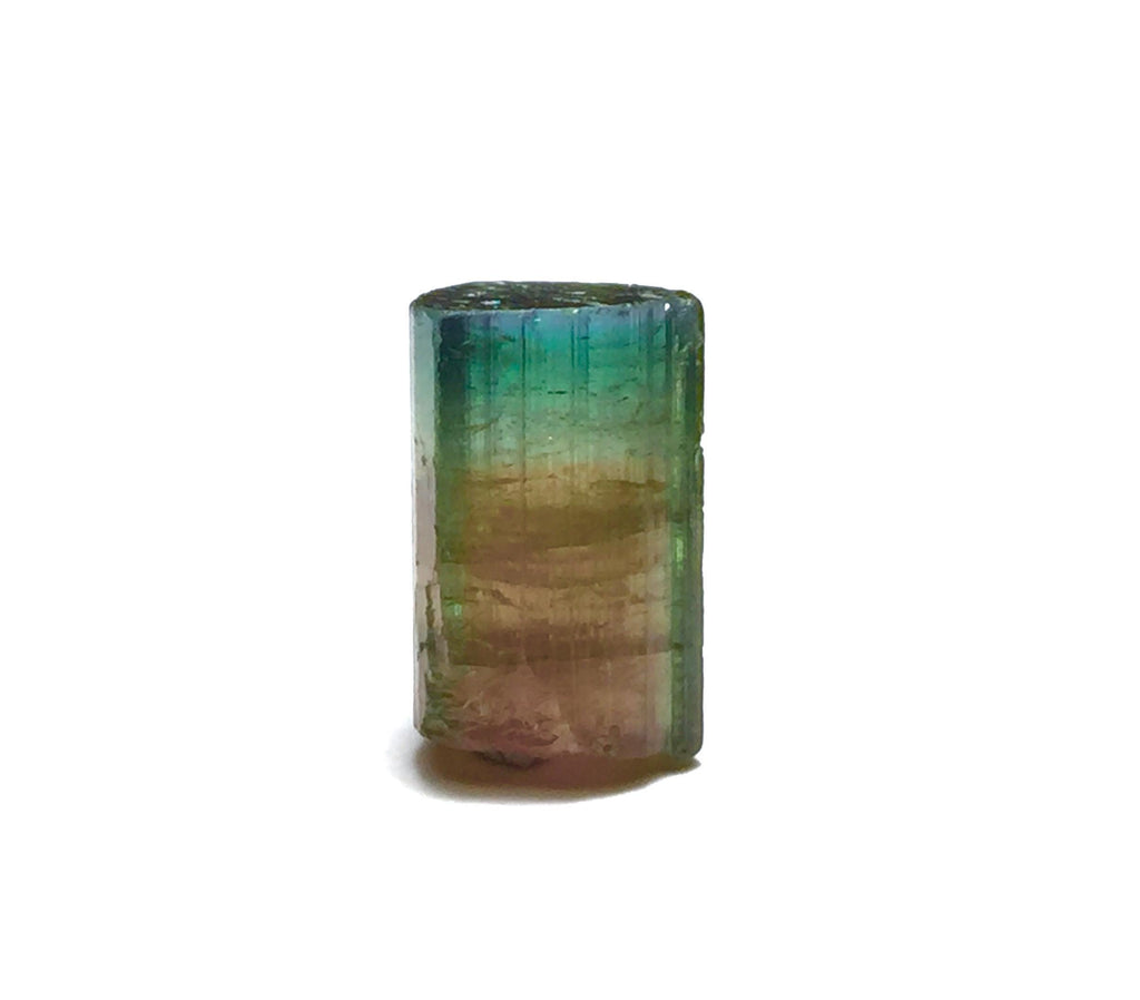 10.4 Carat Tri-Color Watermelon Tourmaline Crystal | Peche Mine Afghanistan Natural Bi-Color Mineral Specimen
