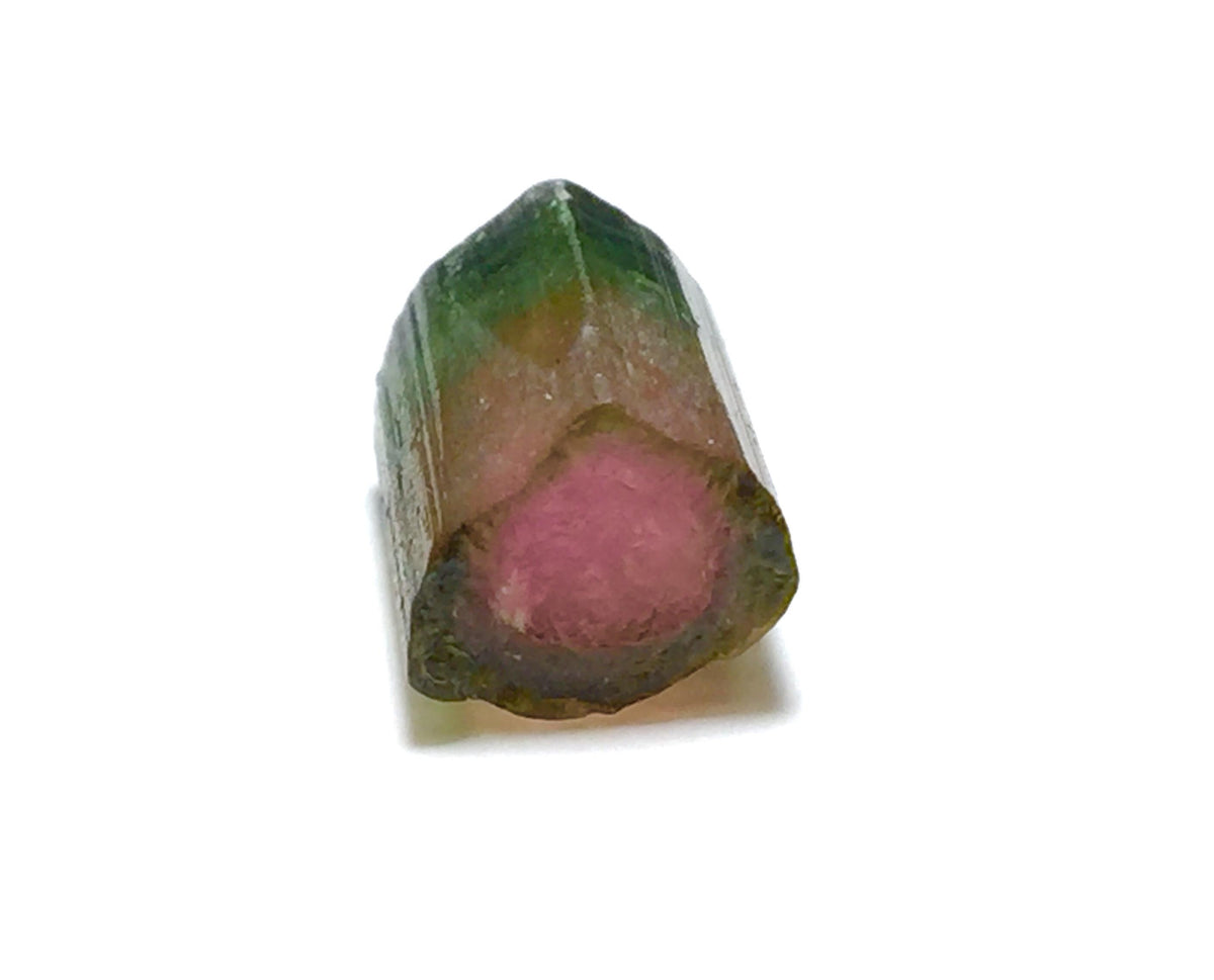 10.4 Carat Tri-Color Watermelon Tourmaline Crystal | Peche Mine Afghanistan Natural Bi-Color Mineral Specimen