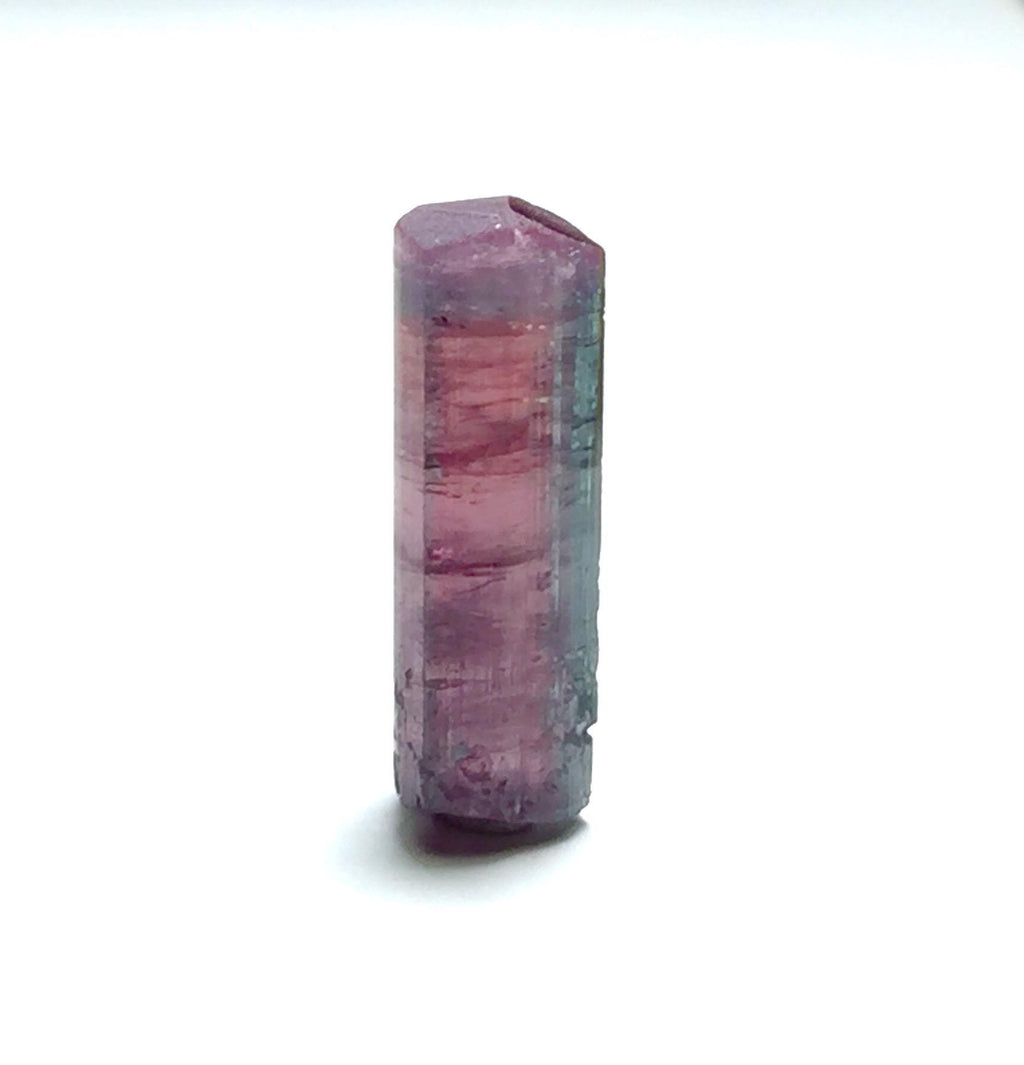 Natural Watermelon Tourmaline Crystal – Bicolor Pink & Blue Green – Peche Mine Afghanistan – Terminated Mineral Specimen