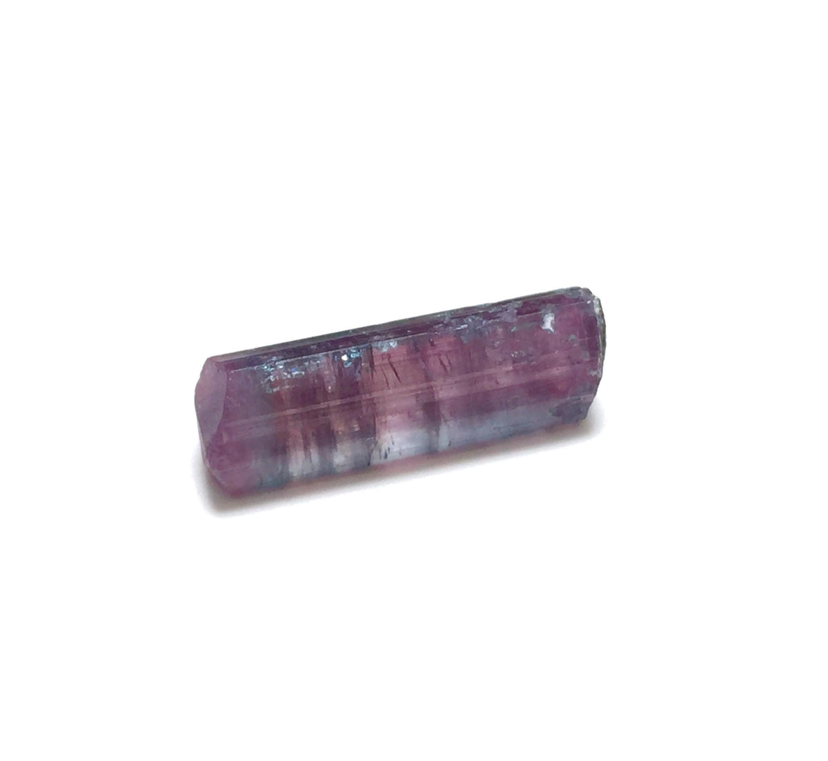 Natural Watermelon Tourmaline Crystal – Bicolor Pink & Blue Green – Peche Mine Afghanistan – Terminated Mineral Specimen