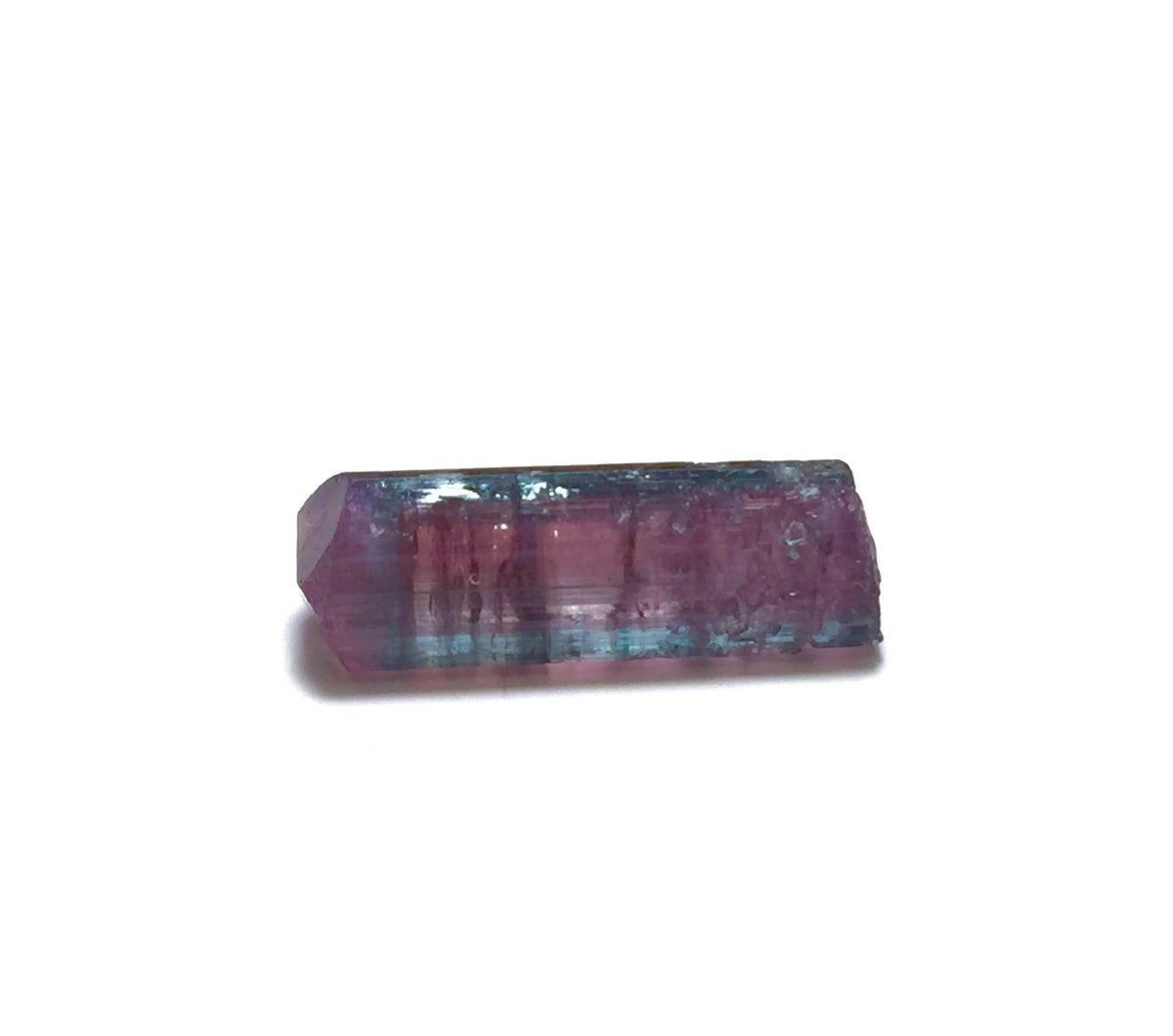 Natural Watermelon Tourmaline Crystal – Bicolor Pink & Blue Green – Peche Mine Afghanistan – Terminated Mineral Specimen