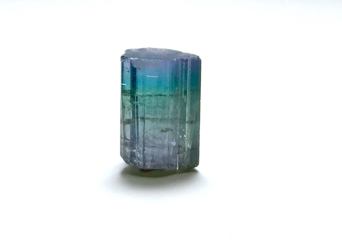 8.1 Carat Natural Bi-Color Tourmaline Crystal - Paprok Mine, Afghanistan - Multi-Color Terminated Specimen