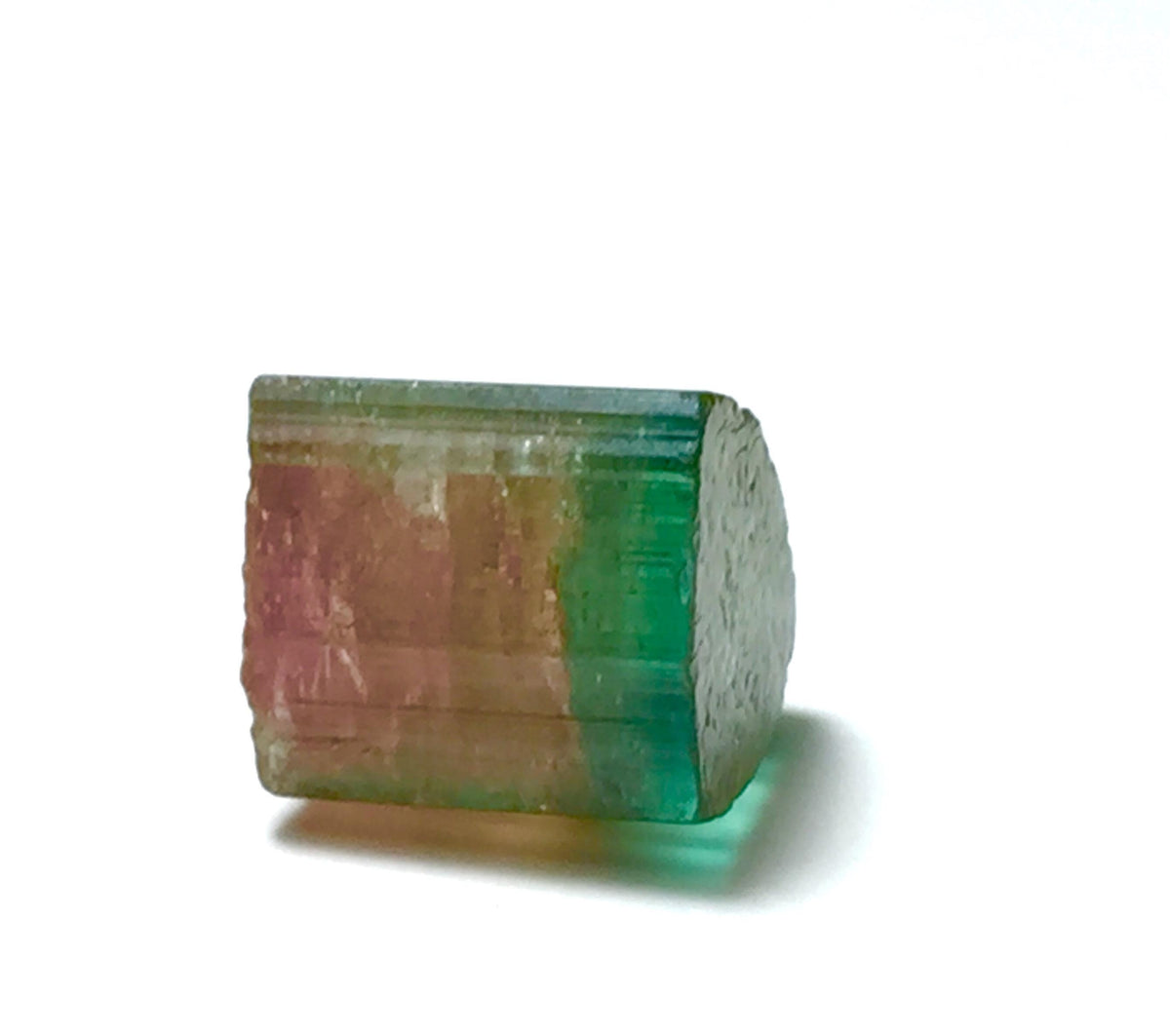 13.2 Carat Bi-Color Watermelon Tourmaline Crystal - Natural Specimen from Peche Mine