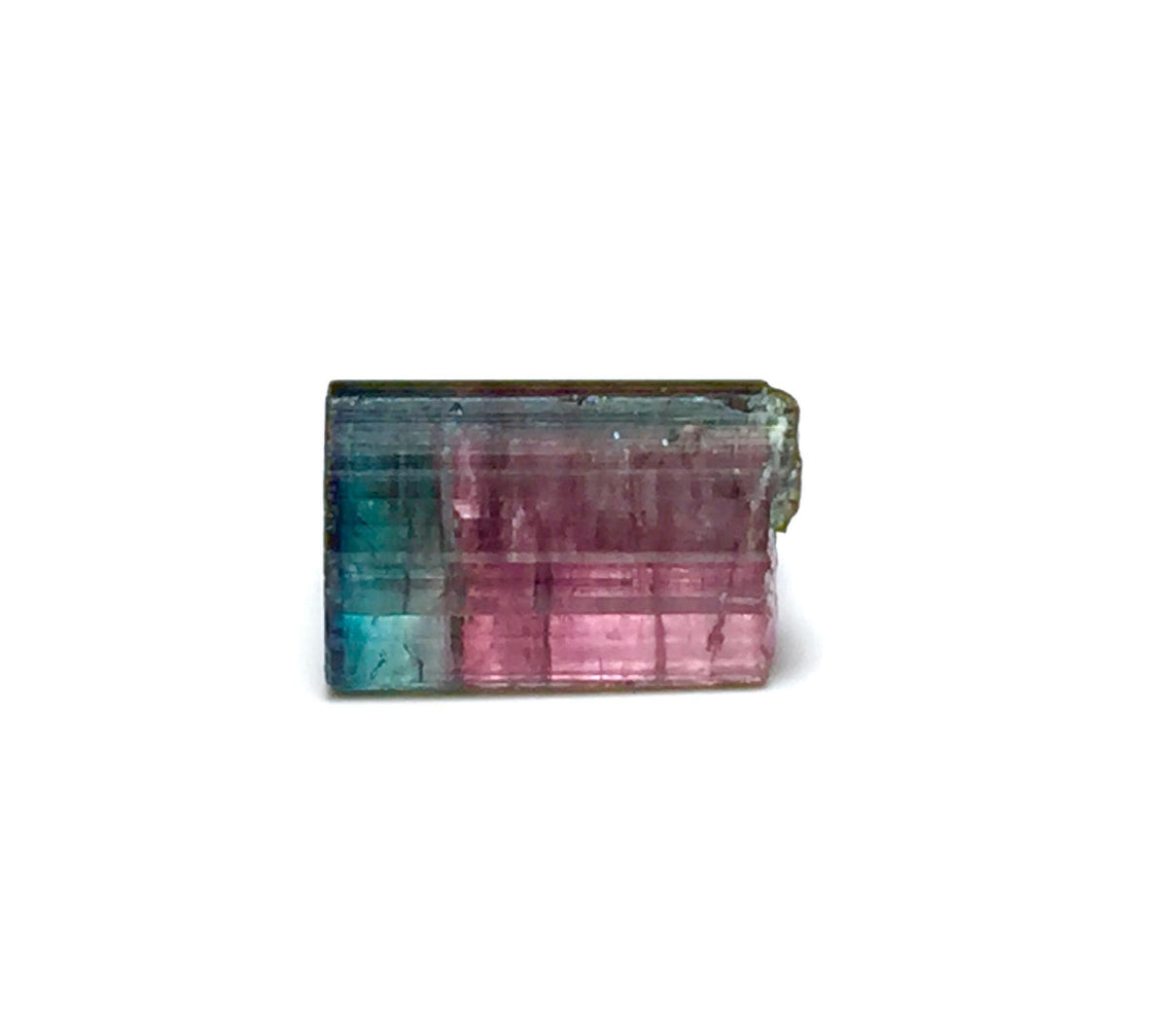 Blue Cap Watermelon Tourmaline Crystal - Natural Bi-Color Specimen from Peche Mine