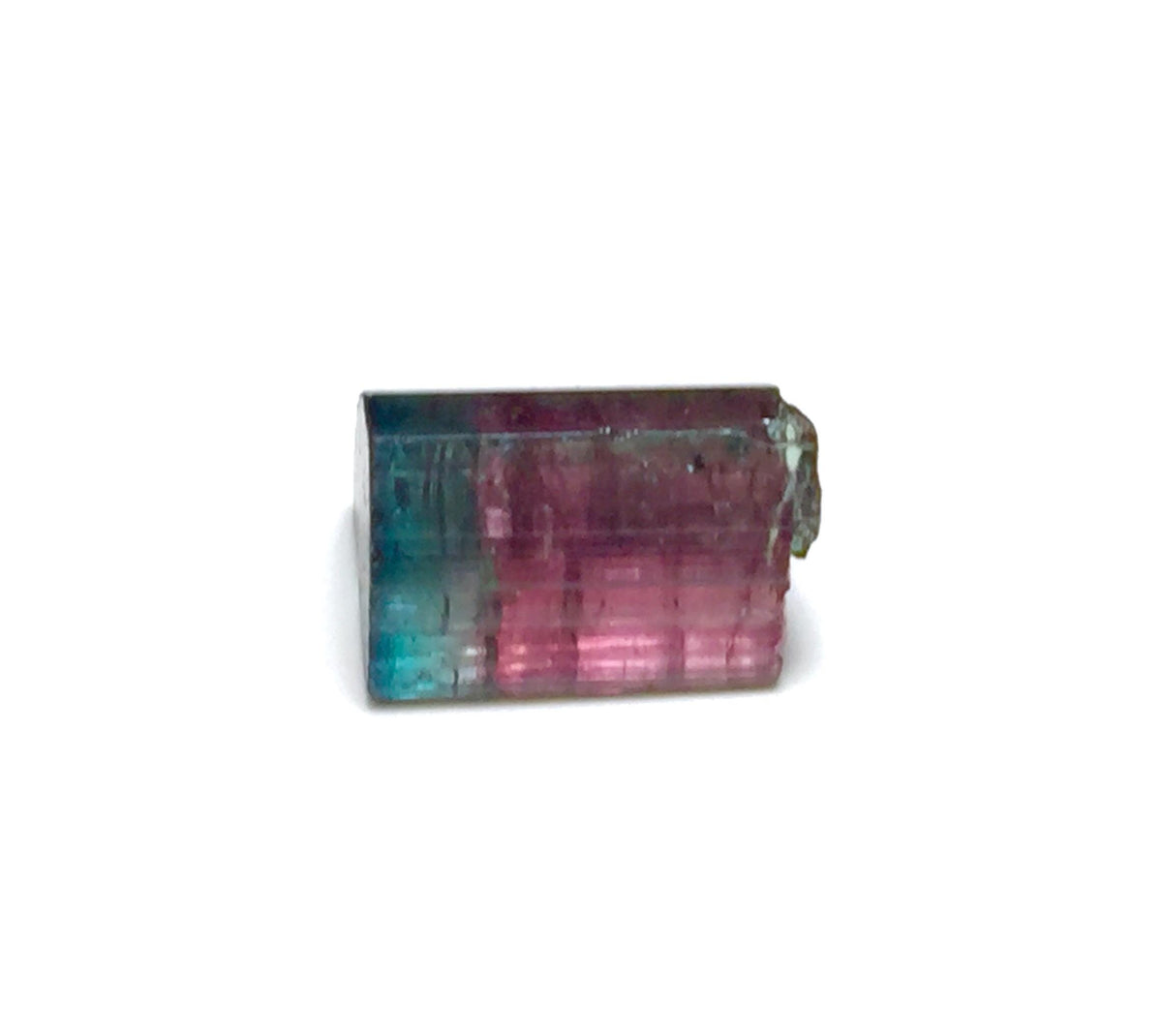 Blue Cap Watermelon Tourmaline Crystal - Natural Bi-Color Specimen from Peche Mine