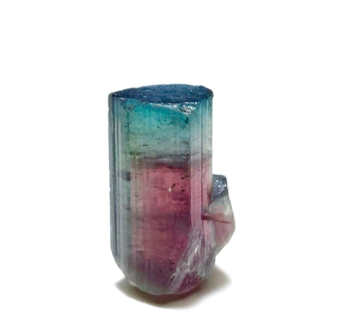 8.4 Carat Tourmaline on Albite Matrix - Natural Bicolor Specimen from Peche Mine, Afghanistan