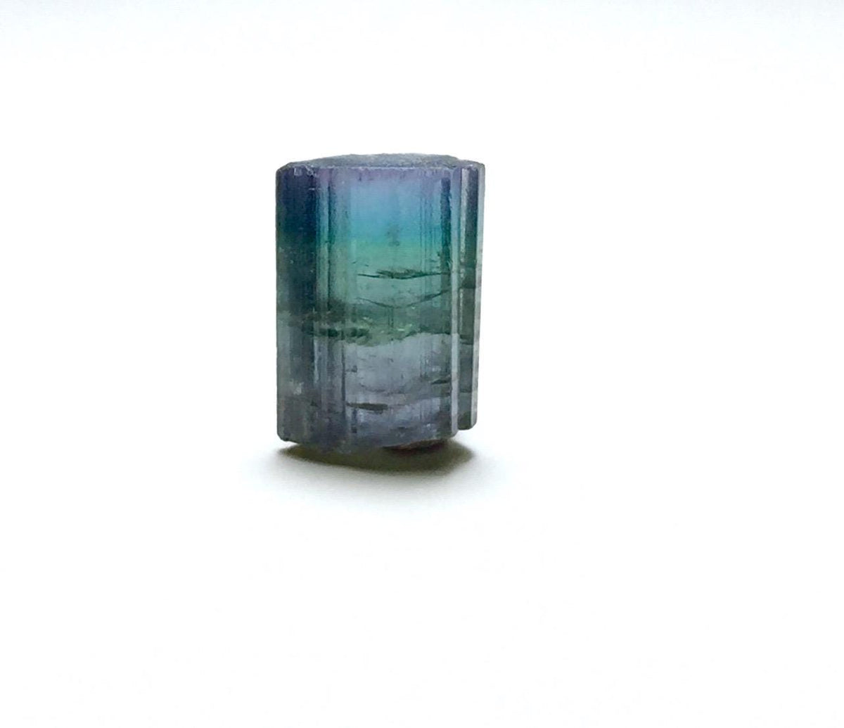 8.1 Carat Natural Bi-Color Tourmaline Crystal - Paprok Mine, Afghanistan - Multi-Color Terminated Specimen