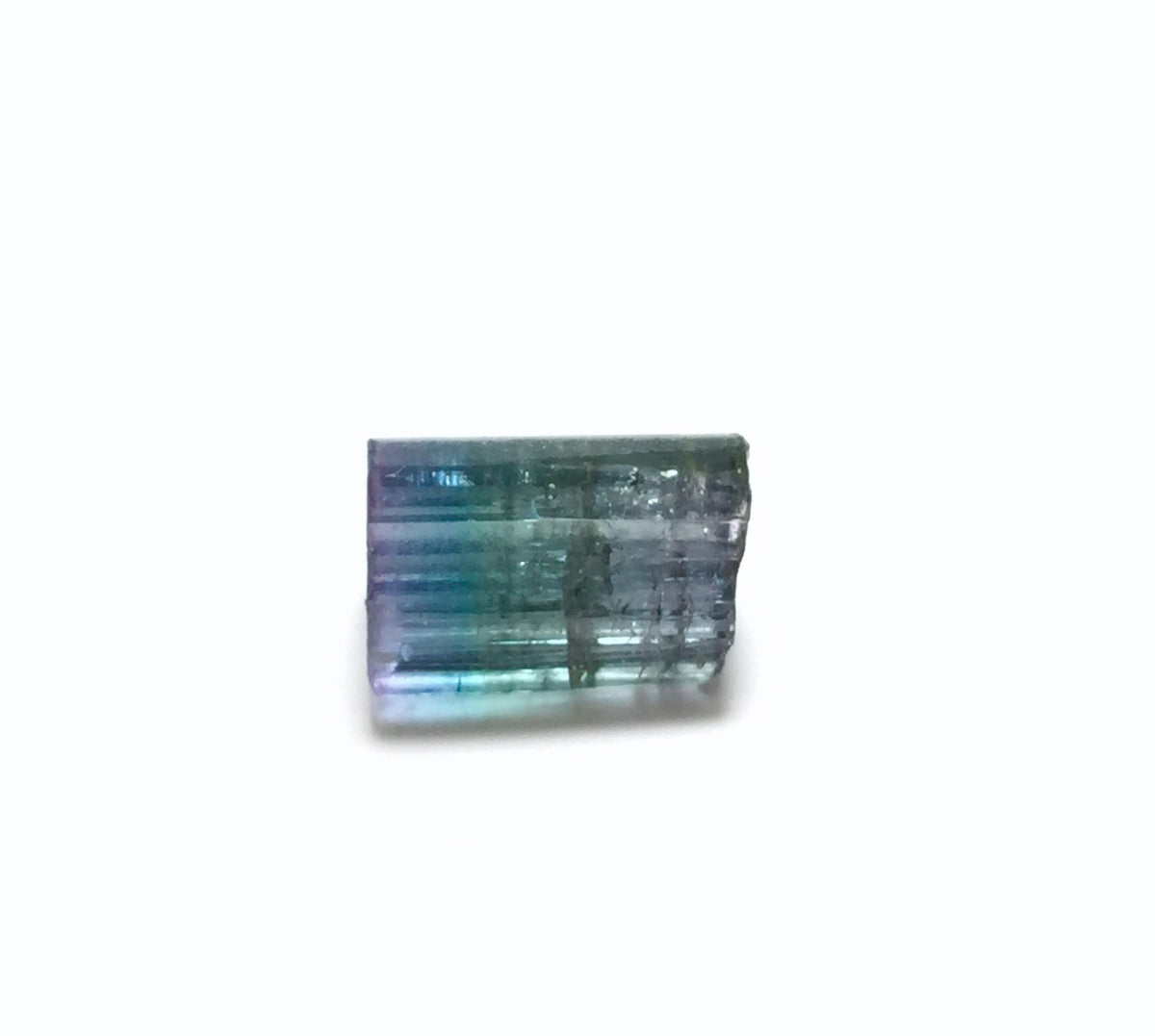 8.1 Carat Natural Bi-Color Tourmaline Crystal - Paprok Mine, Afghanistan - Multi-Color Terminated Specimen