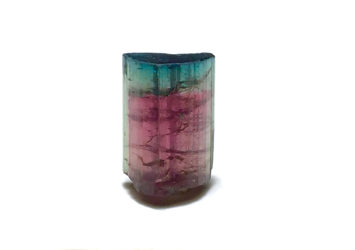 Blue Cap Watermelon Tourmaline Crystal - Natural Bi-Color Specimen from Peche Mine