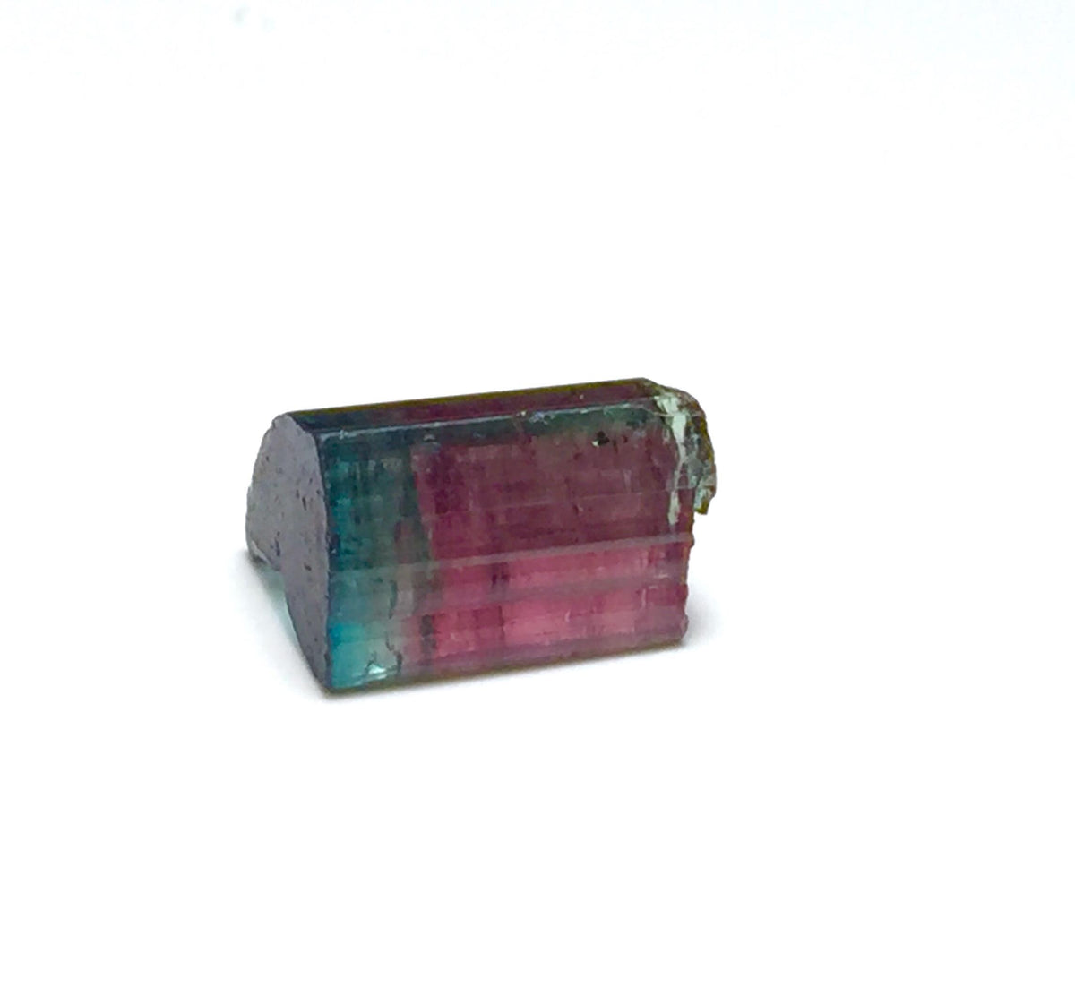 Blue Cap Watermelon Tourmaline Crystal - Natural Bi-Color Specimen from Peche Mine
