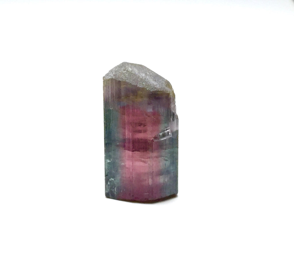 11.6 Carat Watermelon Tourmaline Crystal – Peche Mine, Afghanistan Pendant Specimen