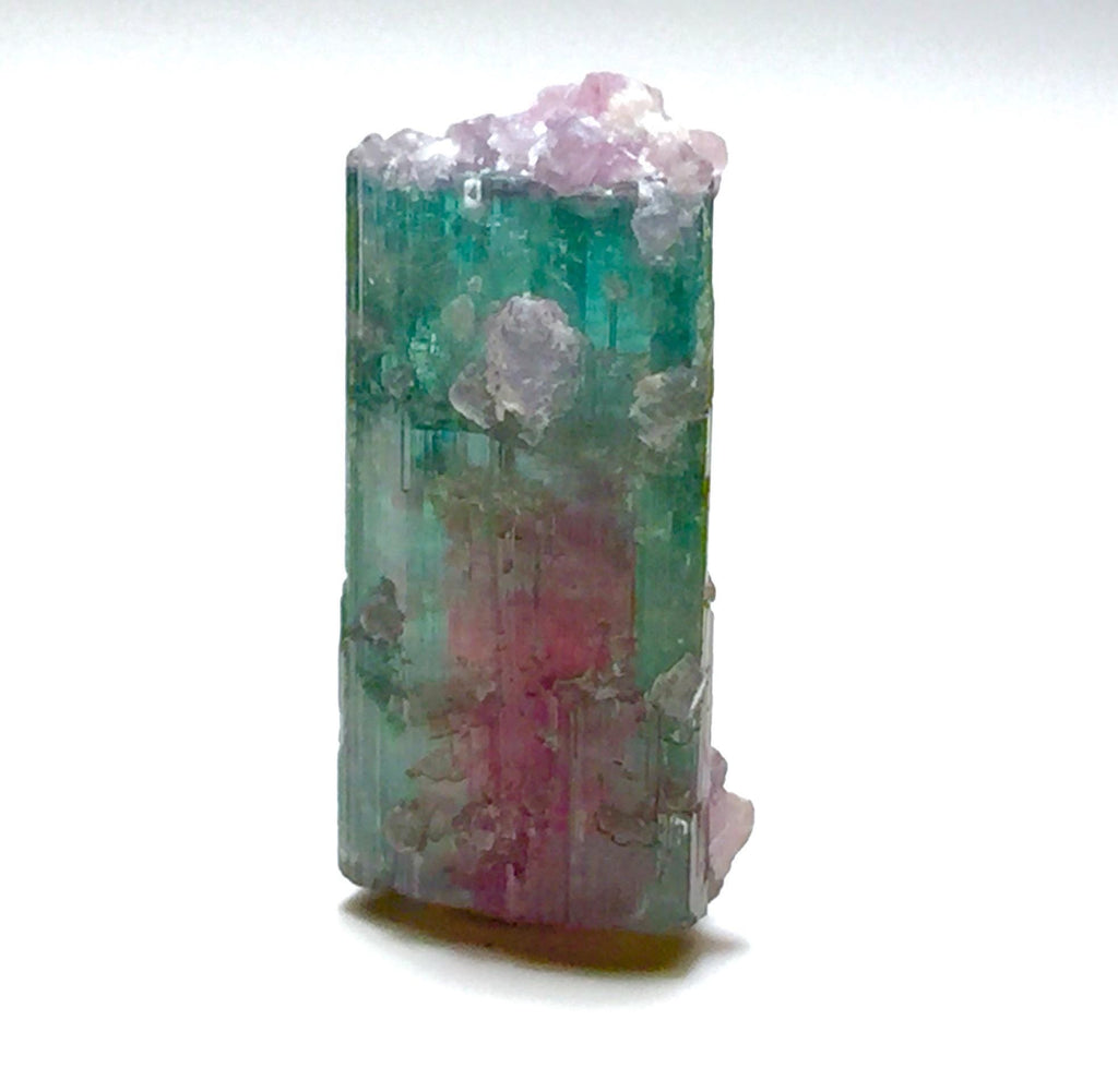 15.4 Carat Watermelon Tourmaline on Quartz Matrix – Natural Peche Mine Afghanistan