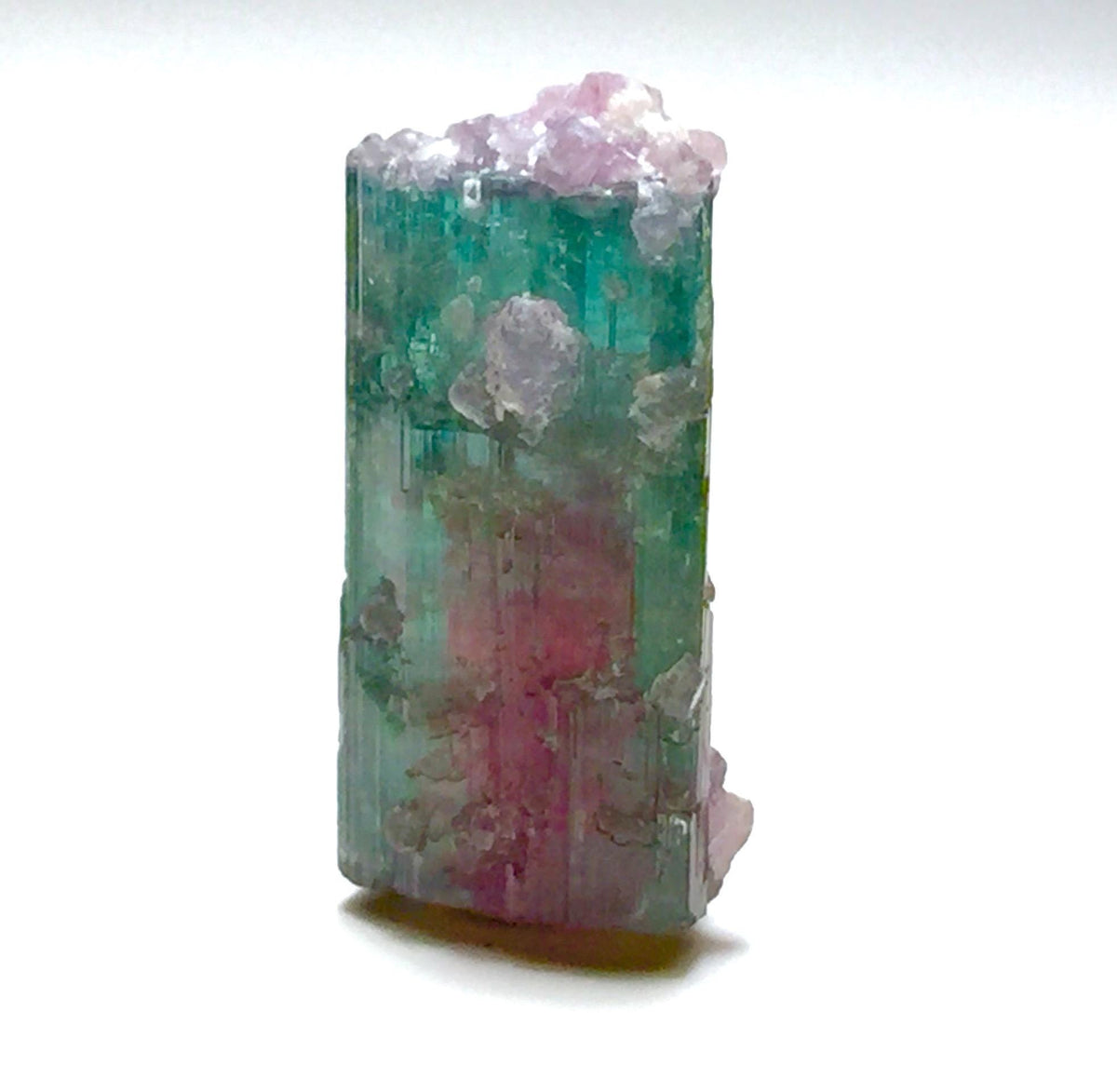 15.4 Carat Watermelon Tourmaline on Quartz Matrix – Natural Peche Mine Afghanistan