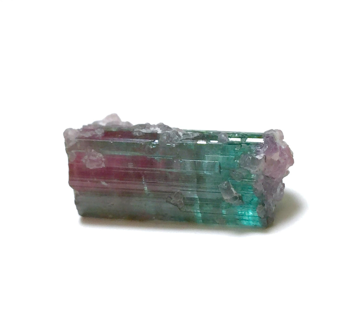 15.4 Carat Watermelon Tourmaline on Quartz Matrix – Natural Peche Mine Afghanistan