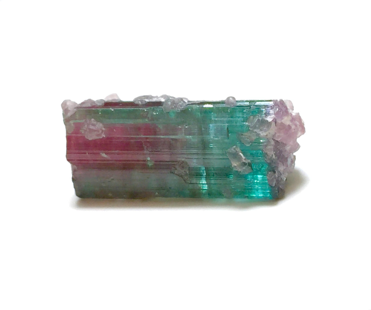 15.4 Carat Watermelon Tourmaline on Quartz Matrix – Natural Peche Mine Afghanistan