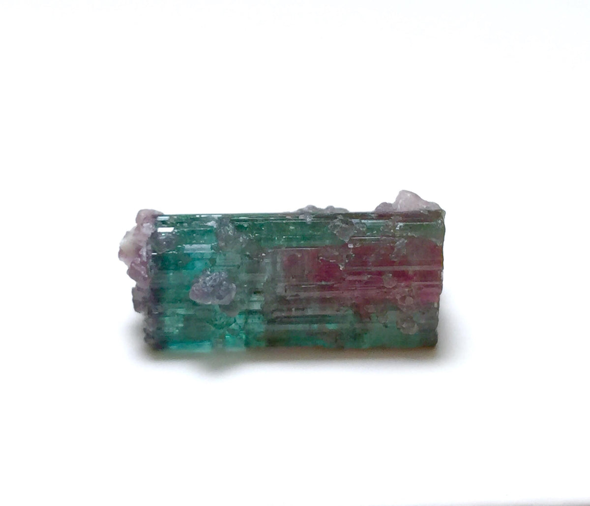 15.4 Carat Watermelon Tourmaline on Quartz Matrix – Natural Peche Mine Afghanistan