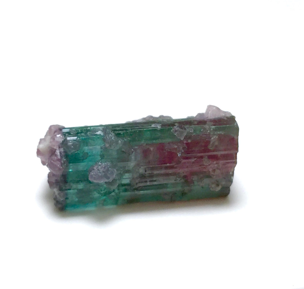 15.4 Carat Watermelon Tourmaline on Quartz Matrix – Natural Peche Mine Afghanistan
